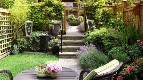 Tips for Transforming Your Backyard on a Budget