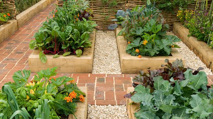 A Look at Frame Materials That Won't Rot in Wet Soil