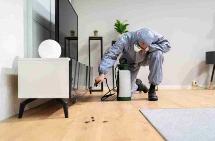 Preparing Your Home for a Pest Control Treatment