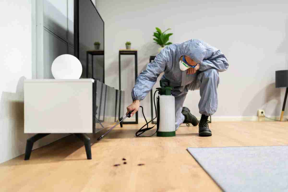 Preparing Your Home for a Pest Control Treatment
